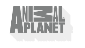 Animal Planet